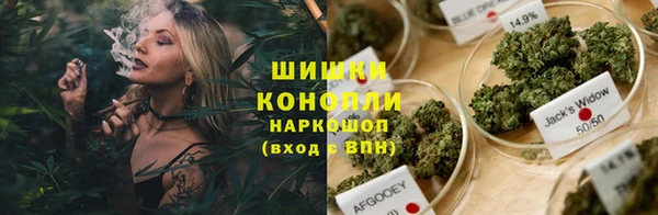 PSILOCYBIN Верея