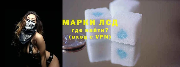 PSILOCYBIN Верея