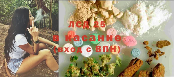 PSILOCYBIN Верея