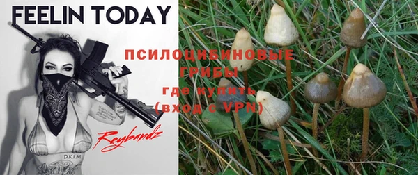 PSILOCYBIN Верея