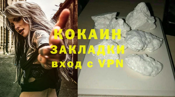 МДПВ Бородино